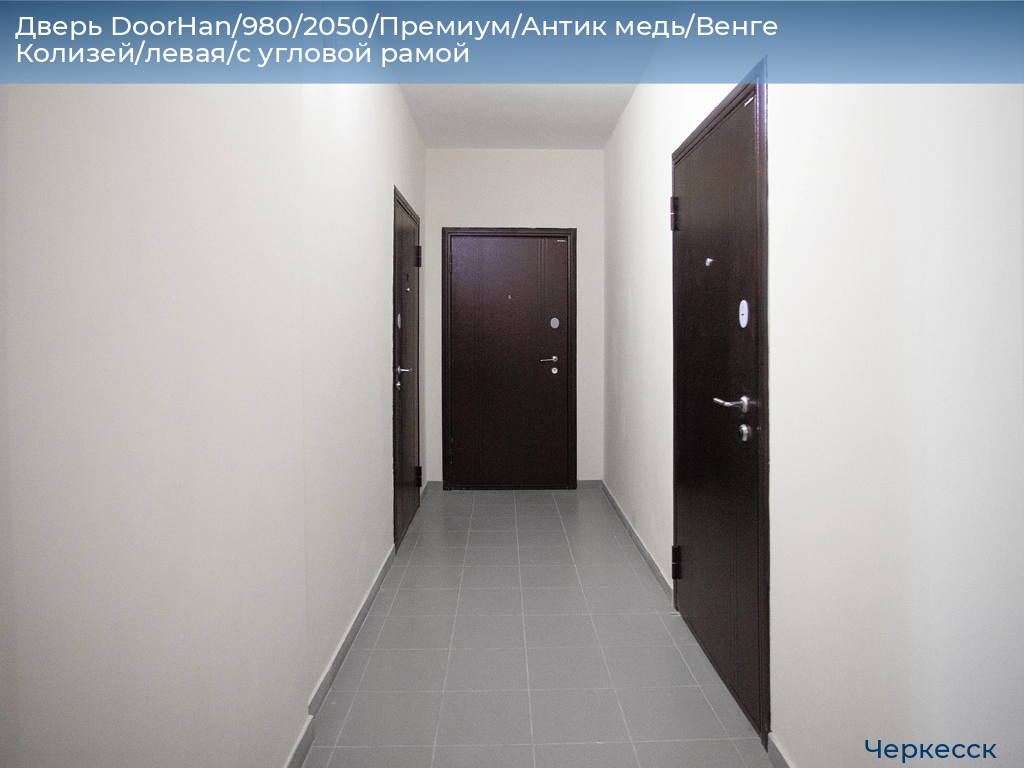 Дверь DoorHan/980/2050/Премиум/Антик медь/Венге Колизей/левая/с угловой рамой, cherkessk.doorhan.ru