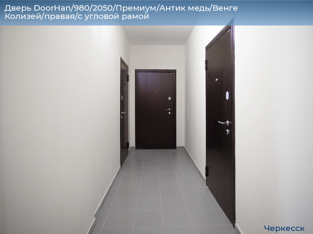 Дверь DoorHan/980/2050/Премиум/Антик медь/Венге Колизей/правая/с угловой рамой, cherkessk.doorhan.ru