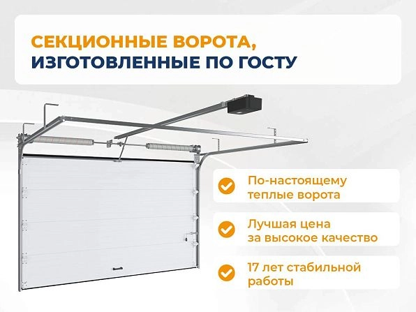Секционные ворота 2500х2050 мм антрацитовые DoorHan RSD02, cherkessk.doorhan.ru
